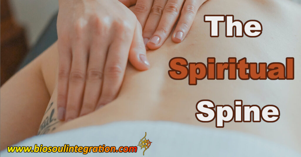 woman receiving healing work on her spine