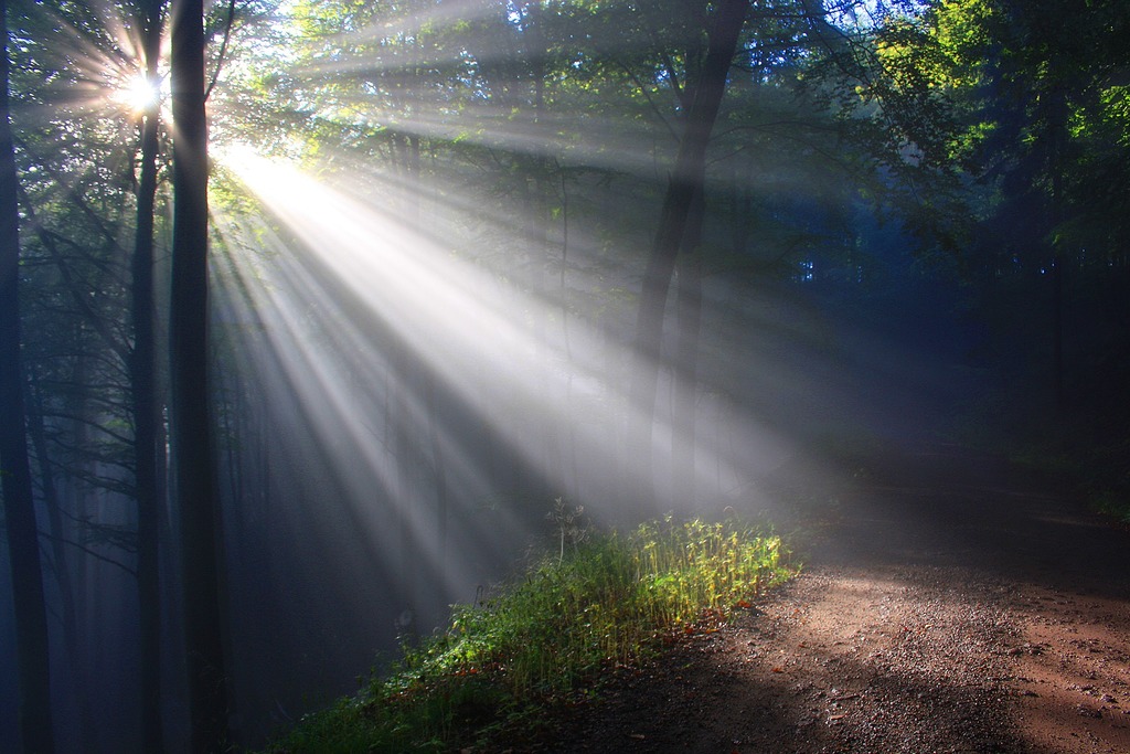 sun shining onto the path of soul's purpose