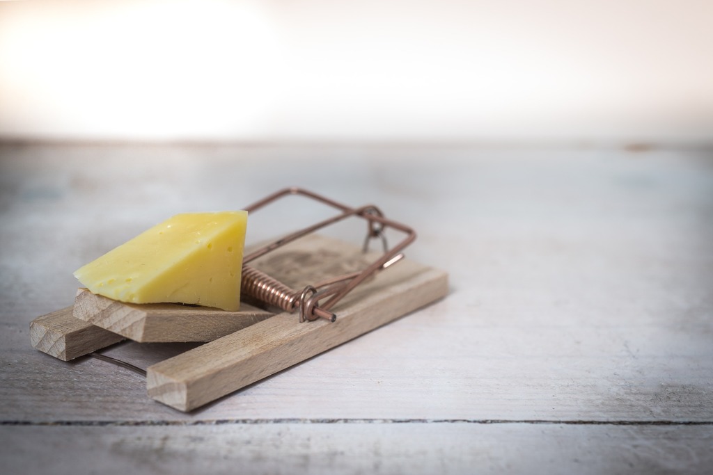 a mousetrap avoiding pain is a trap emotional and physical pain