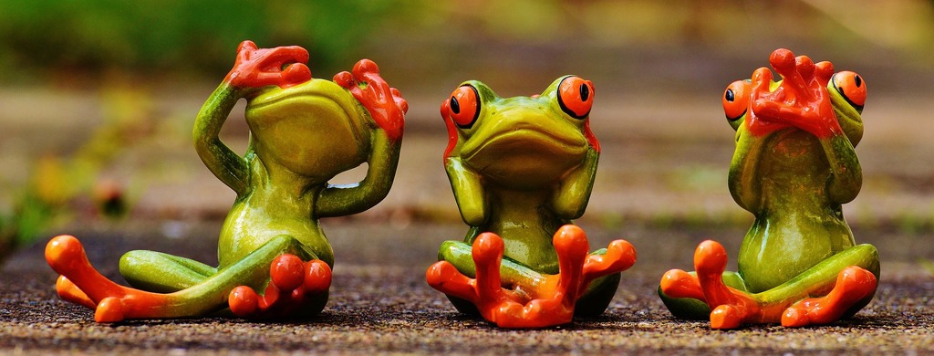 hear no evil frog