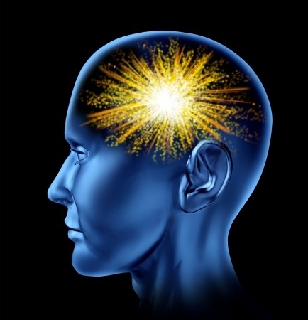 network spinal analysis does it work intelligences