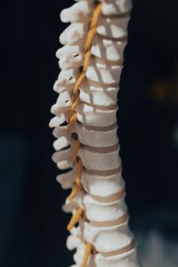 Spiritual Meaning Of Spine: 5 Vibrational Lenses That Shape Us