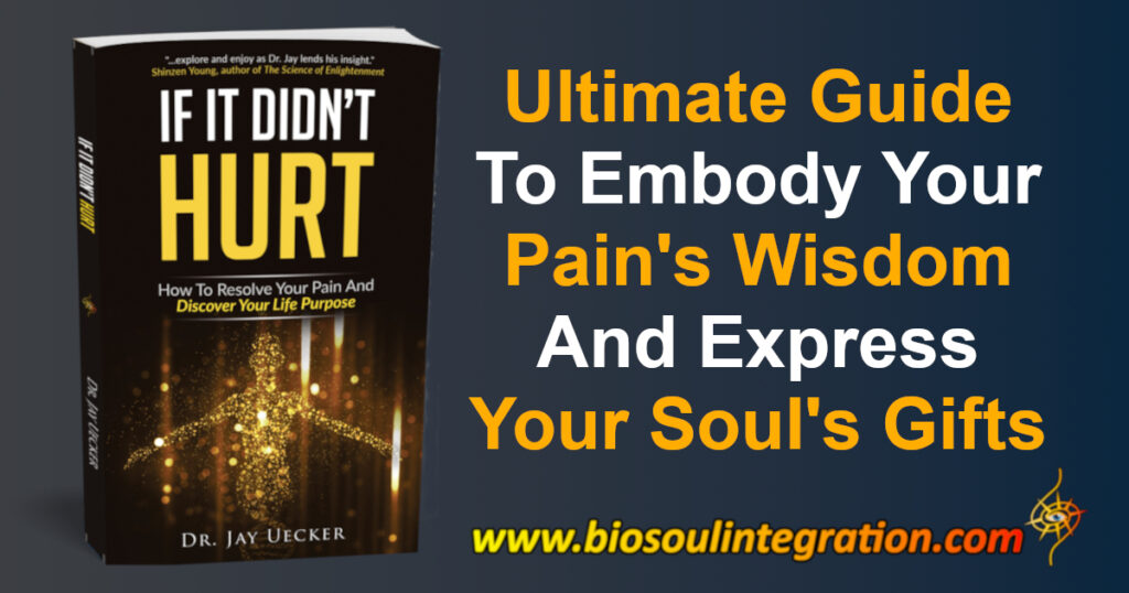 pain to purpose boook