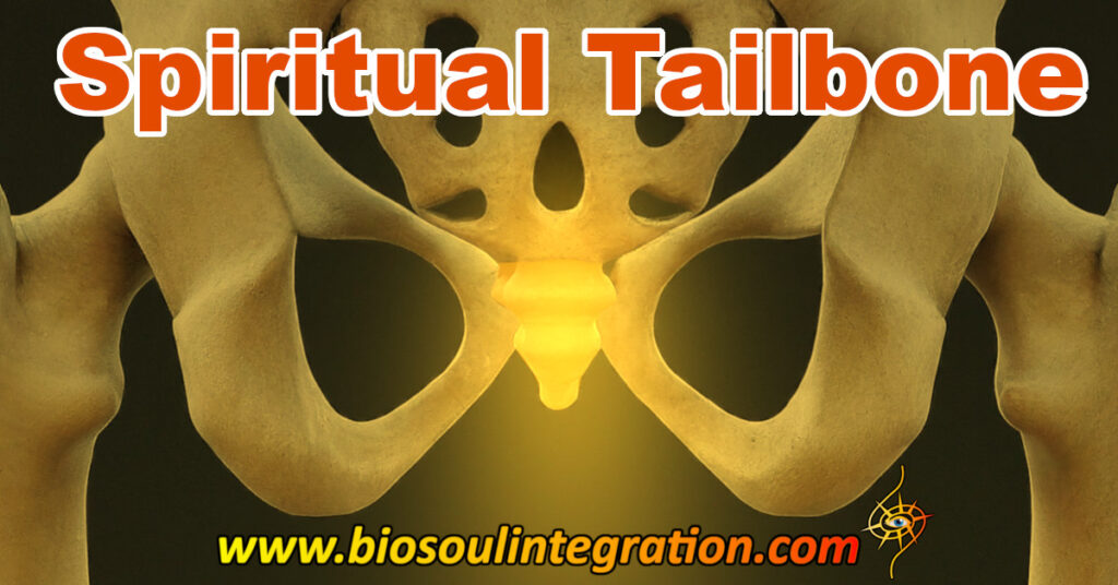 tailbone spiritual meaning
