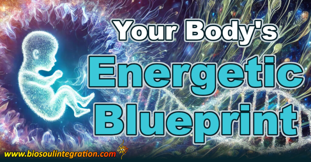 energetic blueprint, fetus