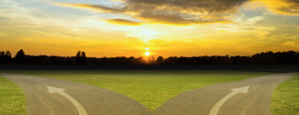 Two different roads in the field