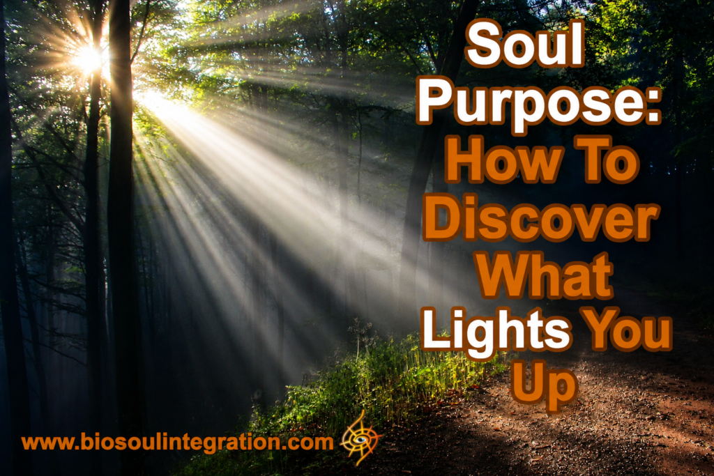 light shining into a forest soul purpose